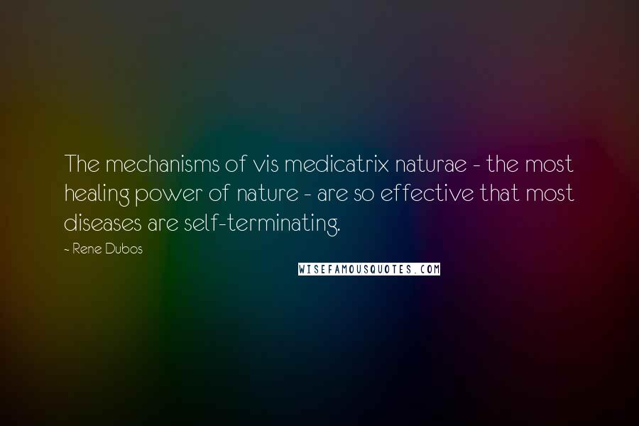 Rene Dubos Quotes: The mechanisms of vis medicatrix naturae - the most healing power of nature - are so effective that most diseases are self-terminating.