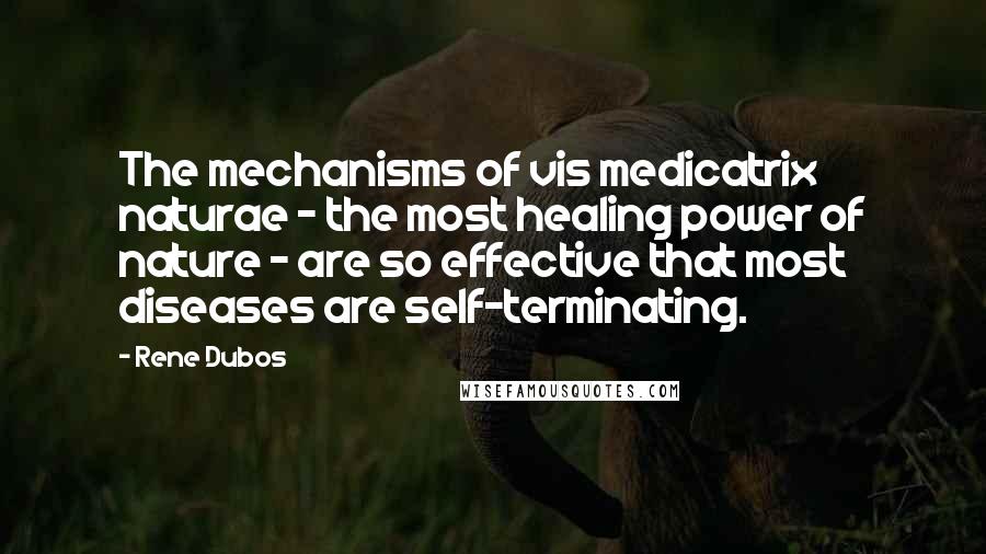 Rene Dubos Quotes: The mechanisms of vis medicatrix naturae - the most healing power of nature - are so effective that most diseases are self-terminating.