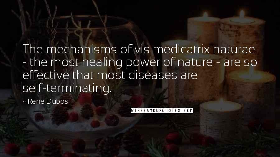 Rene Dubos Quotes: The mechanisms of vis medicatrix naturae - the most healing power of nature - are so effective that most diseases are self-terminating.