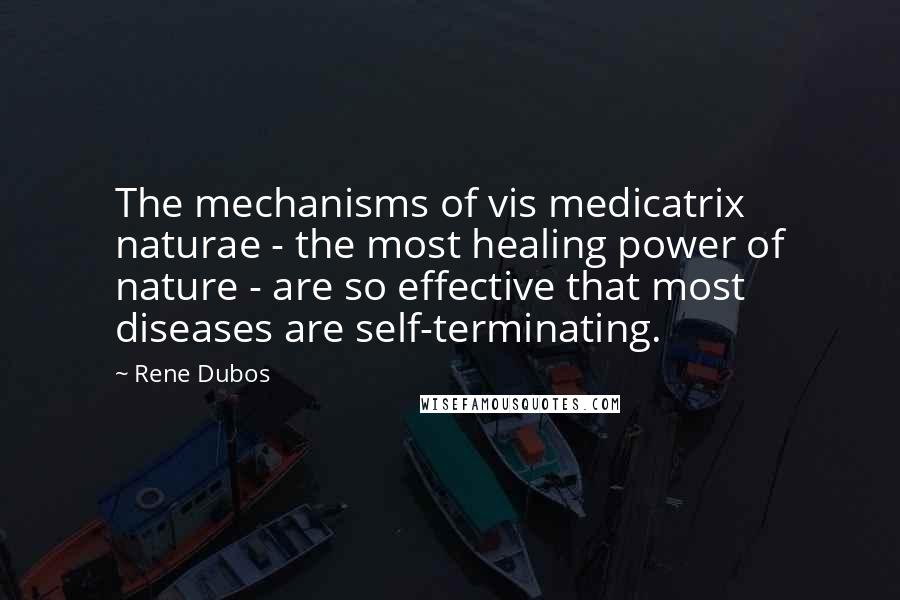 Rene Dubos Quotes: The mechanisms of vis medicatrix naturae - the most healing power of nature - are so effective that most diseases are self-terminating.