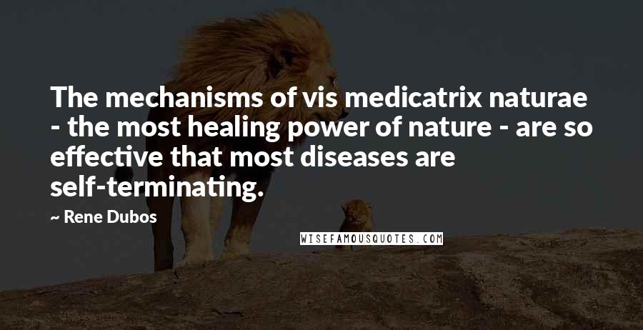 Rene Dubos Quotes: The mechanisms of vis medicatrix naturae - the most healing power of nature - are so effective that most diseases are self-terminating.