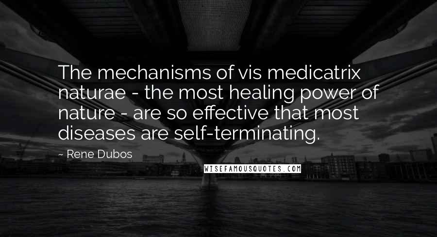 Rene Dubos Quotes: The mechanisms of vis medicatrix naturae - the most healing power of nature - are so effective that most diseases are self-terminating.