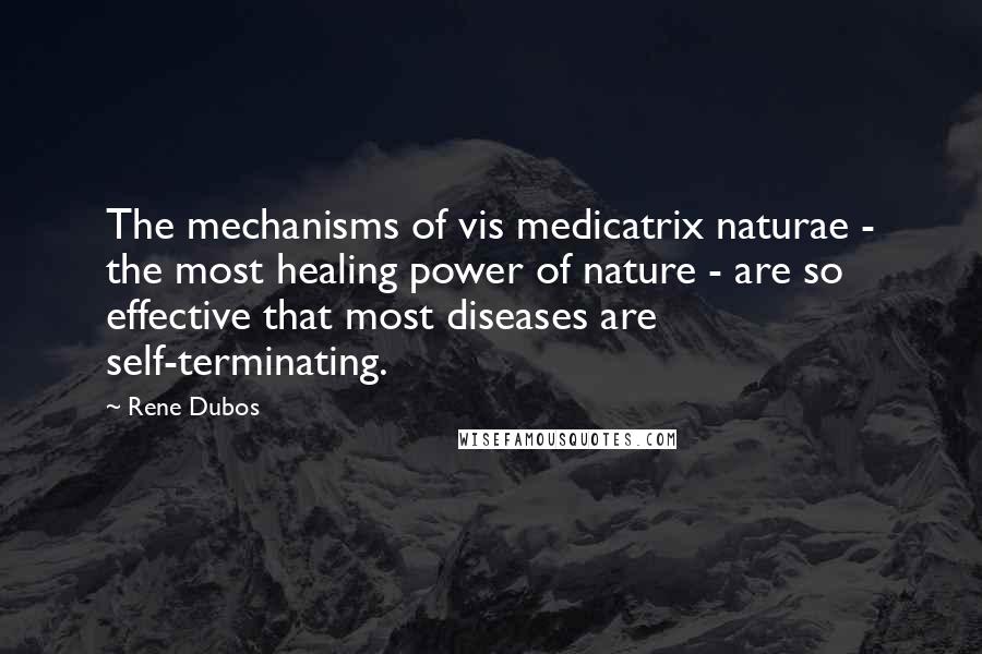 Rene Dubos Quotes: The mechanisms of vis medicatrix naturae - the most healing power of nature - are so effective that most diseases are self-terminating.