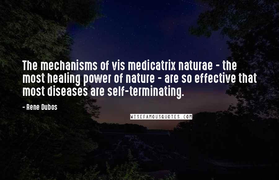 Rene Dubos Quotes: The mechanisms of vis medicatrix naturae - the most healing power of nature - are so effective that most diseases are self-terminating.