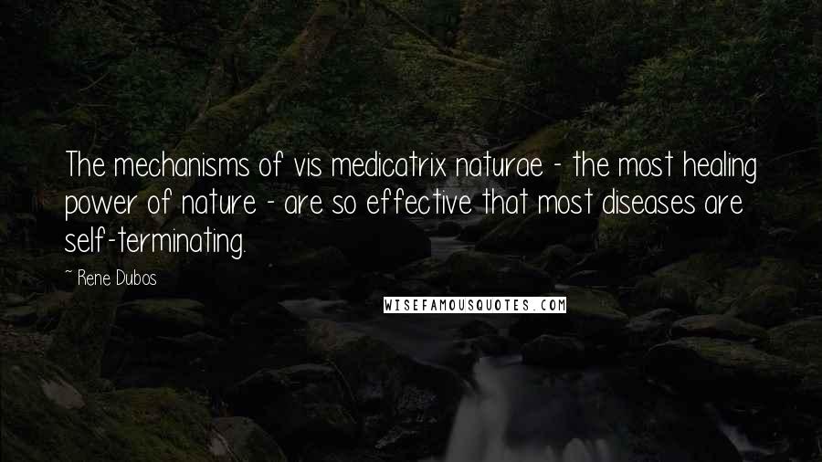 Rene Dubos Quotes: The mechanisms of vis medicatrix naturae - the most healing power of nature - are so effective that most diseases are self-terminating.