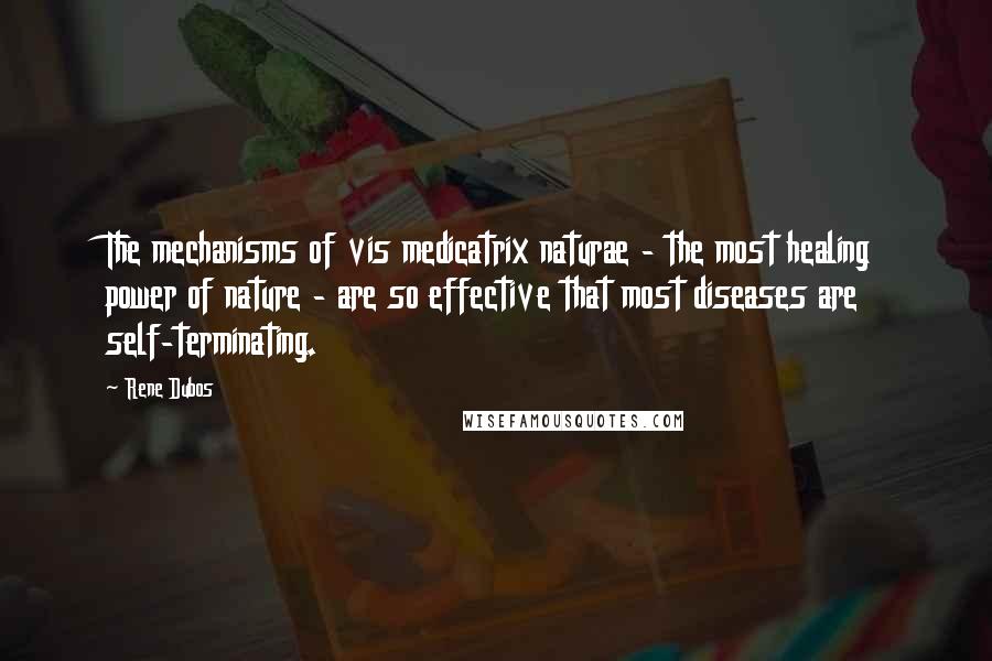 Rene Dubos Quotes: The mechanisms of vis medicatrix naturae - the most healing power of nature - are so effective that most diseases are self-terminating.