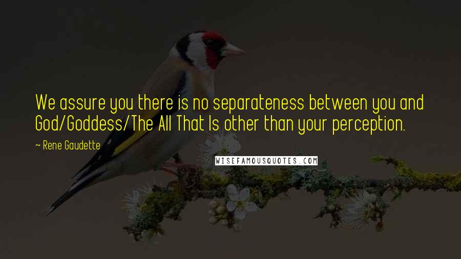 Rene Gaudette Quotes: We assure you there is no separateness between you and God/Goddess/The All That Is other than your perception.