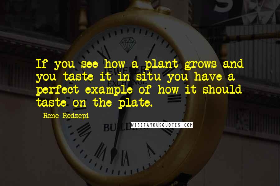 Rene Redzepi Quotes: If you see how a plant grows and you taste it in situ you have a perfect example of how it should taste on the plate.