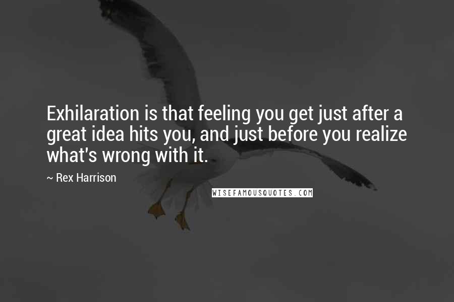 Rex Harrison Quotes: Exhilaration is that feeling you get just after a great idea hits you, and just before you realize what's wrong with it.