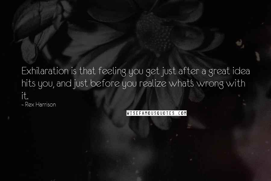 Rex Harrison Quotes: Exhilaration is that feeling you get just after a great idea hits you, and just before you realize what's wrong with it.