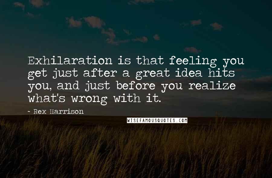 Rex Harrison Quotes: Exhilaration is that feeling you get just after a great idea hits you, and just before you realize what's wrong with it.