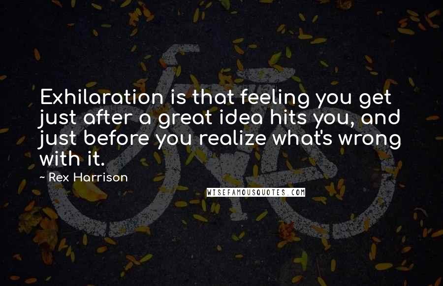 Rex Harrison Quotes: Exhilaration is that feeling you get just after a great idea hits you, and just before you realize what's wrong with it.