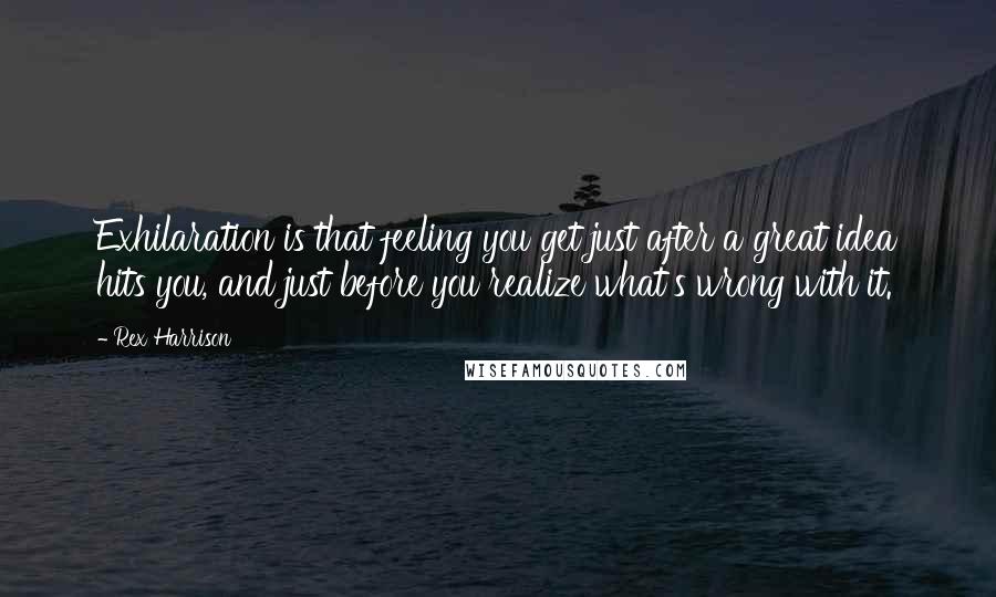 Rex Harrison Quotes: Exhilaration is that feeling you get just after a great idea hits you, and just before you realize what's wrong with it.