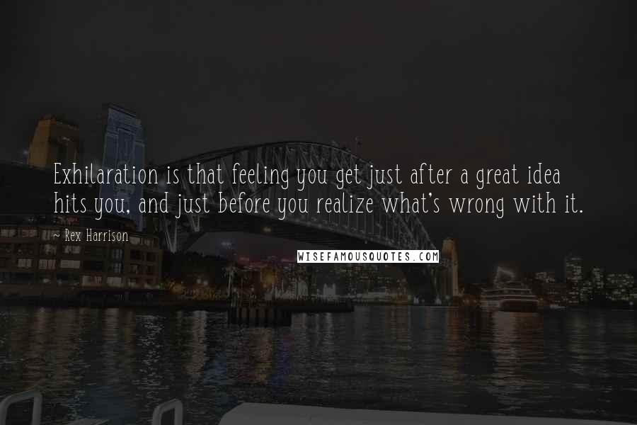 Rex Harrison Quotes: Exhilaration is that feeling you get just after a great idea hits you, and just before you realize what's wrong with it.