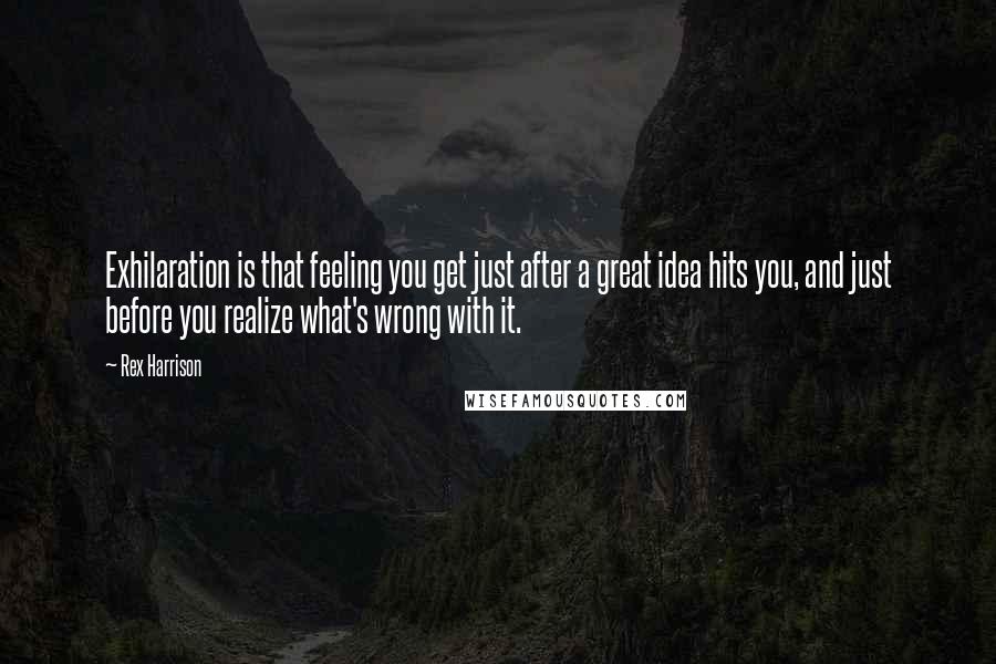 Rex Harrison Quotes: Exhilaration is that feeling you get just after a great idea hits you, and just before you realize what's wrong with it.