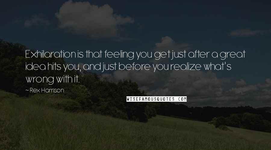 Rex Harrison Quotes: Exhilaration is that feeling you get just after a great idea hits you, and just before you realize what's wrong with it.