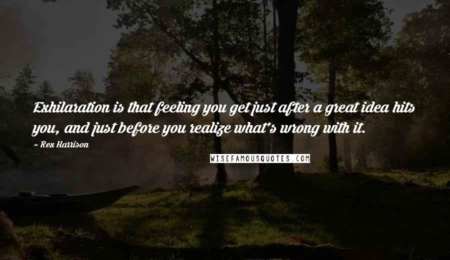 Rex Harrison Quotes: Exhilaration is that feeling you get just after a great idea hits you, and just before you realize what's wrong with it.
