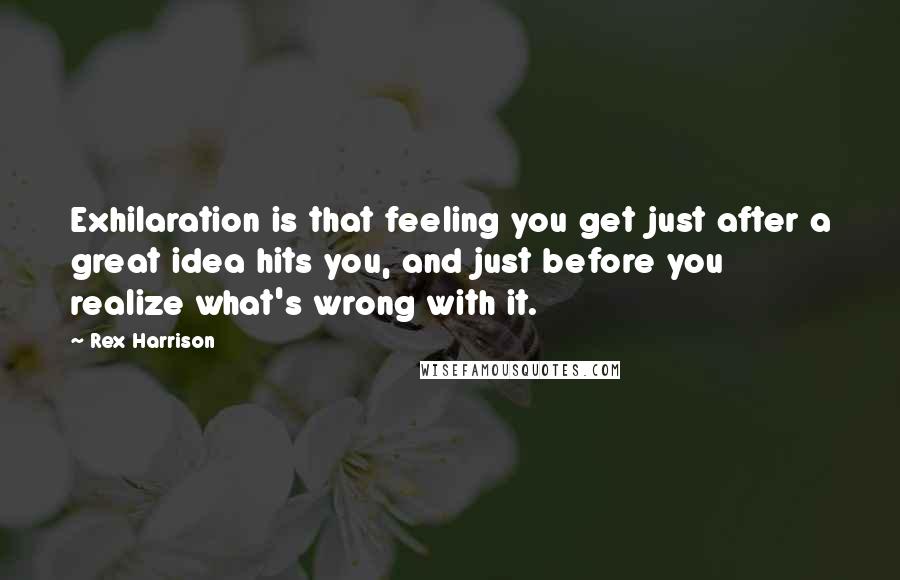 Rex Harrison Quotes: Exhilaration is that feeling you get just after a great idea hits you, and just before you realize what's wrong with it.