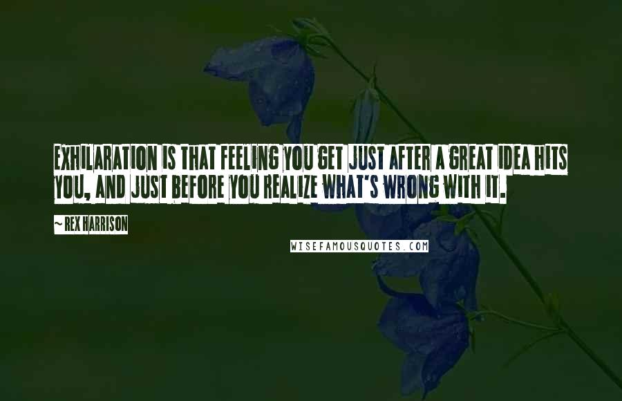 Rex Harrison Quotes: Exhilaration is that feeling you get just after a great idea hits you, and just before you realize what's wrong with it.