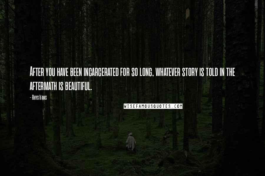 Rhys Ifans Quotes: After you have been incarcerated for so long, whatever story is told in the aftermath is beautiful.