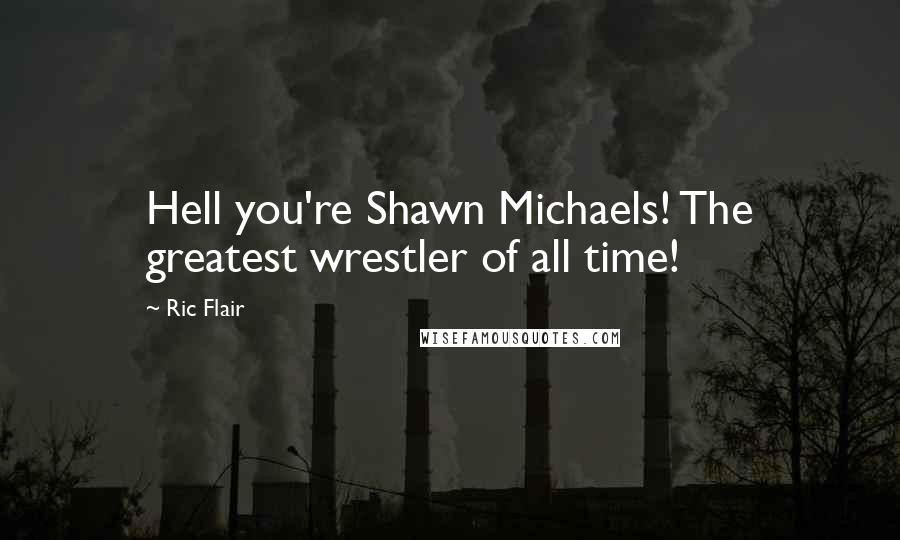 Ric Flair Quotes: Hell you're Shawn Michaels! The greatest wrestler of all time!