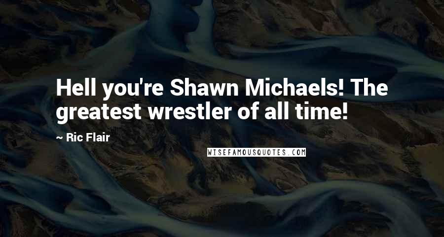 Ric Flair Quotes: Hell you're Shawn Michaels! The greatest wrestler of all time!