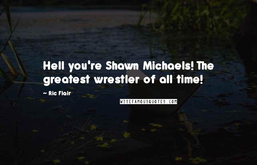 Ric Flair Quotes: Hell you're Shawn Michaels! The greatest wrestler of all time!