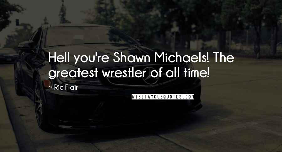 Ric Flair Quotes: Hell you're Shawn Michaels! The greatest wrestler of all time!