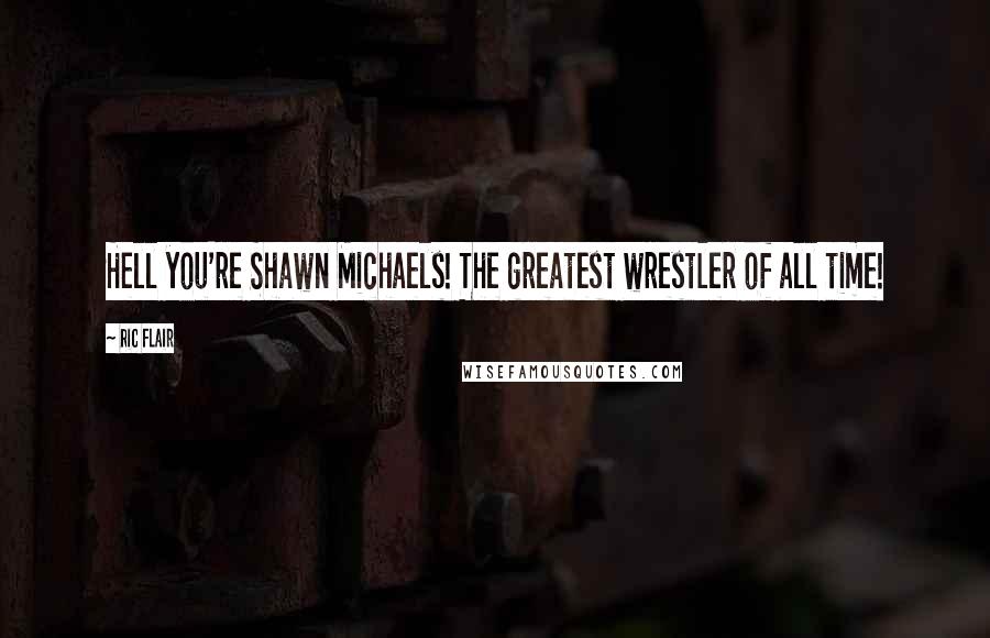 Ric Flair Quotes: Hell you're Shawn Michaels! The greatest wrestler of all time!