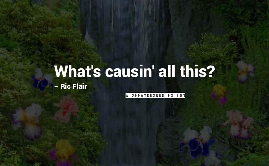 Ric Flair Quotes: What's causin' all this?