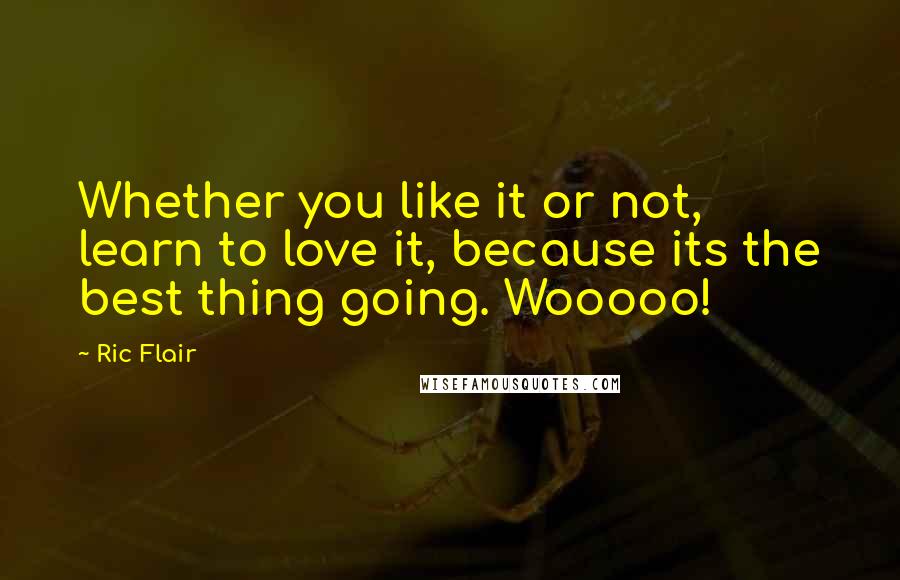 Ric Flair Quotes: Whether you like it or not, learn to love it, because its the best thing going. Wooooo!