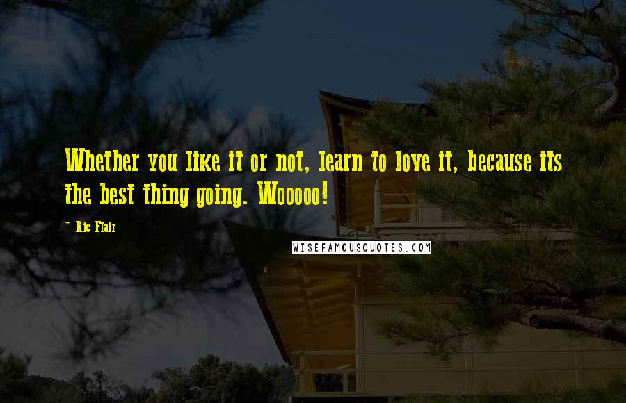 Ric Flair Quotes: Whether you like it or not, learn to love it, because its the best thing going. Wooooo!