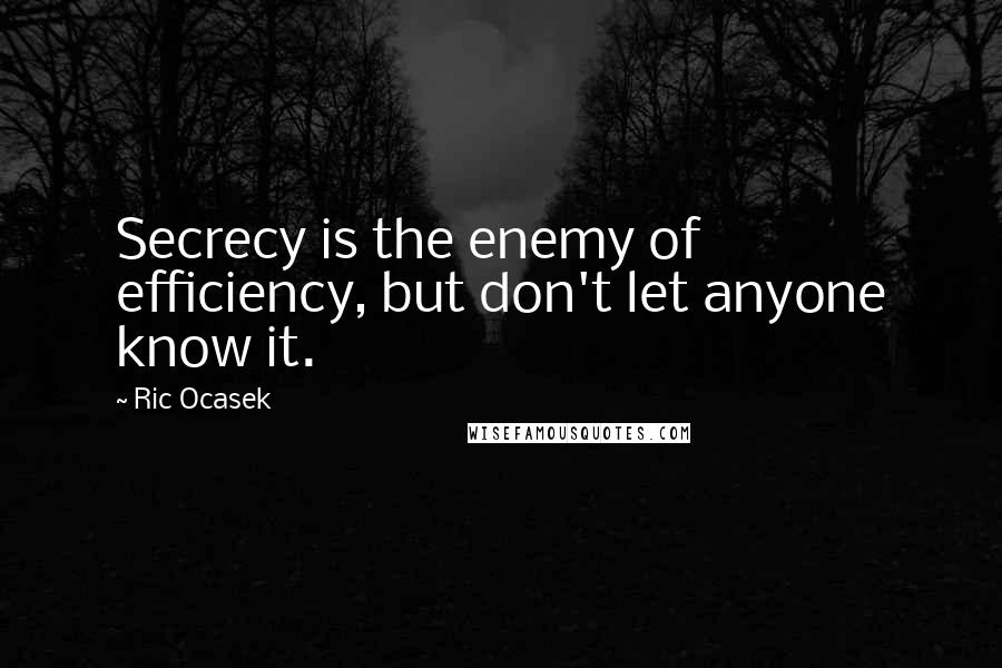 Ric Ocasek Quotes: Secrecy is the enemy of efficiency, but don't let anyone know it.