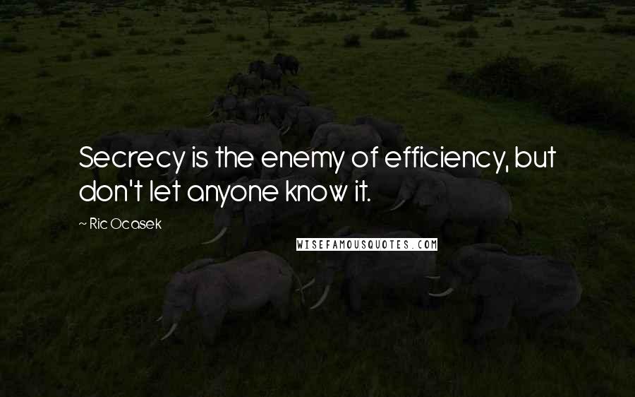 Ric Ocasek Quotes: Secrecy is the enemy of efficiency, but don't let anyone know it.