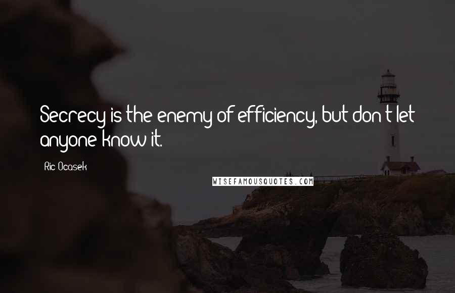 Ric Ocasek Quotes: Secrecy is the enemy of efficiency, but don't let anyone know it.