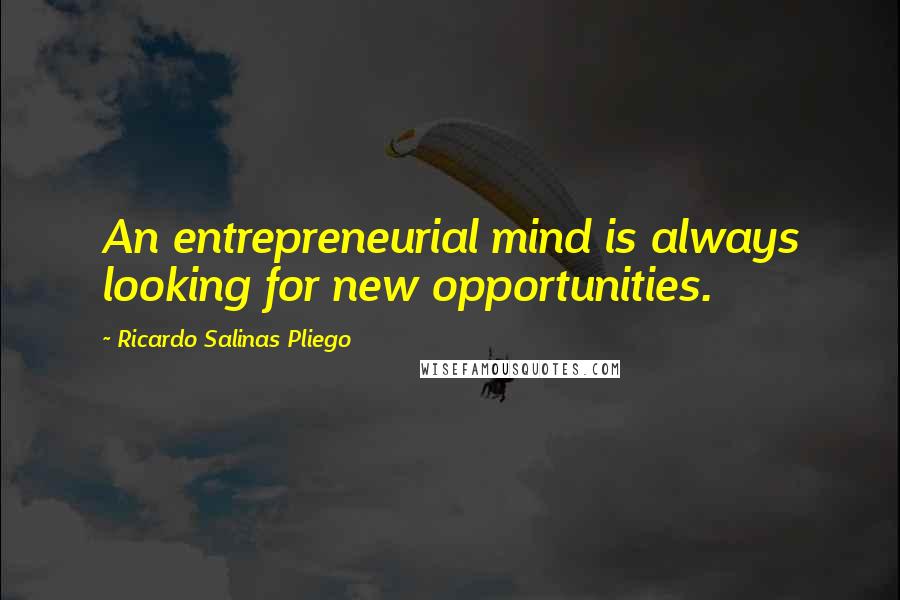 Ricardo Salinas Pliego Quotes: An entrepreneurial mind is always looking for new opportunities.