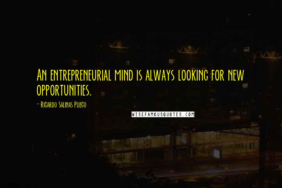 Ricardo Salinas Pliego Quotes: An entrepreneurial mind is always looking for new opportunities.