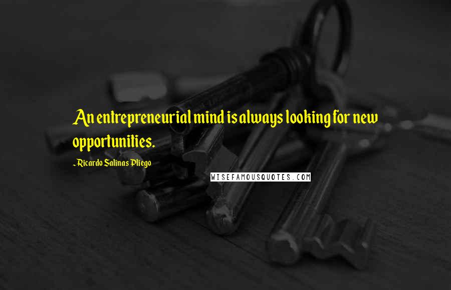 Ricardo Salinas Pliego Quotes: An entrepreneurial mind is always looking for new opportunities.