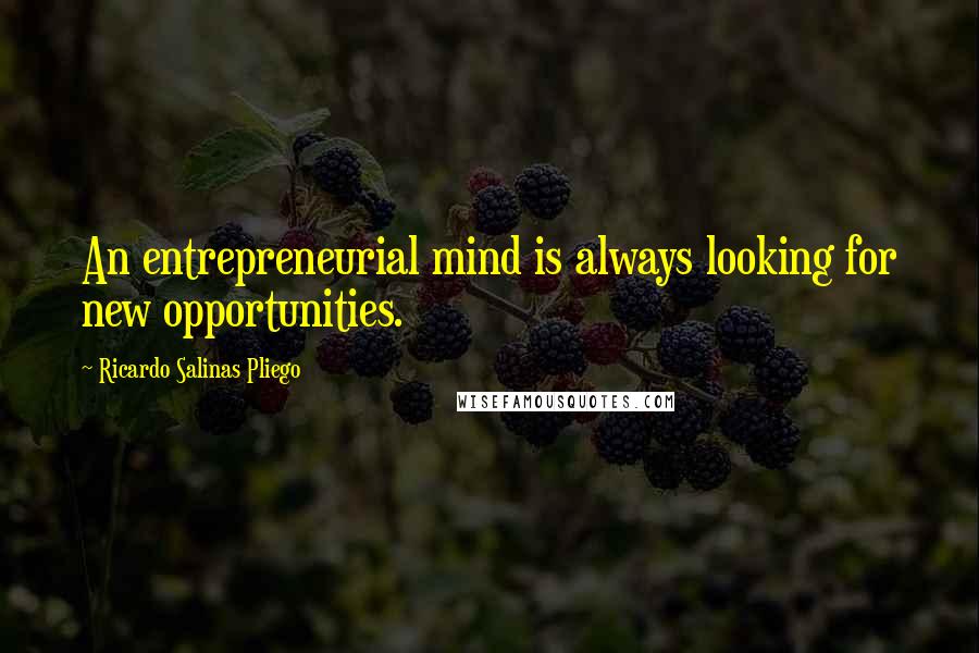 Ricardo Salinas Pliego Quotes: An entrepreneurial mind is always looking for new opportunities.