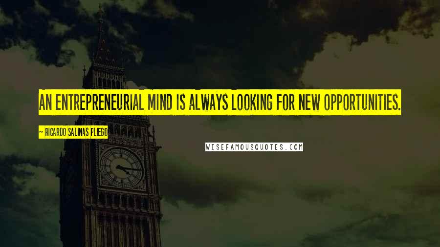 Ricardo Salinas Pliego Quotes: An entrepreneurial mind is always looking for new opportunities.