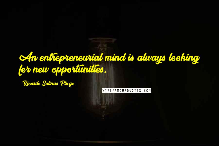 Ricardo Salinas Pliego Quotes: An entrepreneurial mind is always looking for new opportunities.