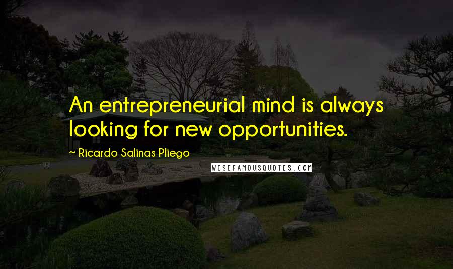 Ricardo Salinas Pliego Quotes: An entrepreneurial mind is always looking for new opportunities.