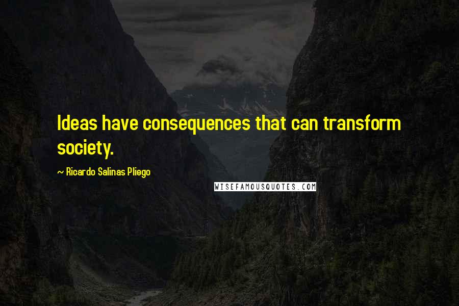 Ricardo Salinas Pliego Quotes: Ideas have consequences that can transform society.