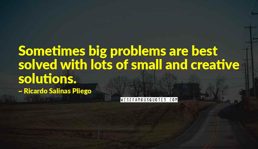 Ricardo Salinas Pliego Quotes: Sometimes big problems are best solved with lots of small and creative solutions.