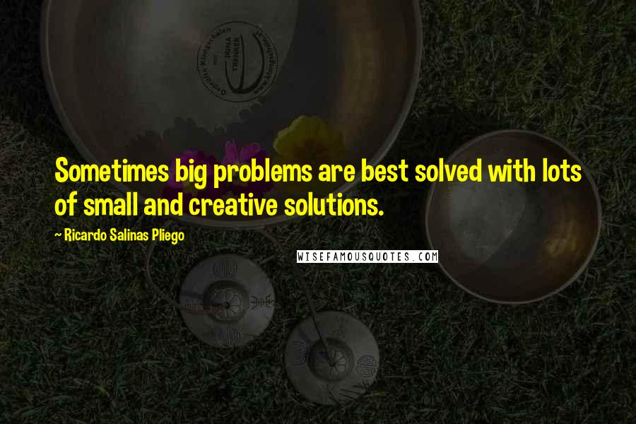 Ricardo Salinas Pliego Quotes: Sometimes big problems are best solved with lots of small and creative solutions.