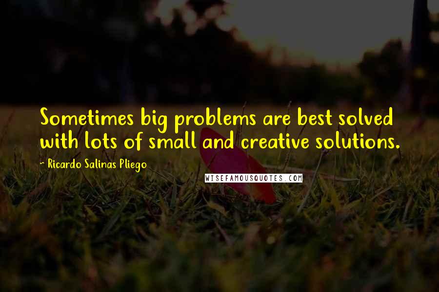 Ricardo Salinas Pliego Quotes: Sometimes big problems are best solved with lots of small and creative solutions.