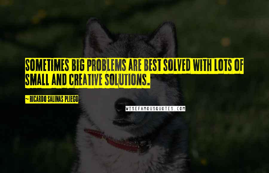 Ricardo Salinas Pliego Quotes: Sometimes big problems are best solved with lots of small and creative solutions.