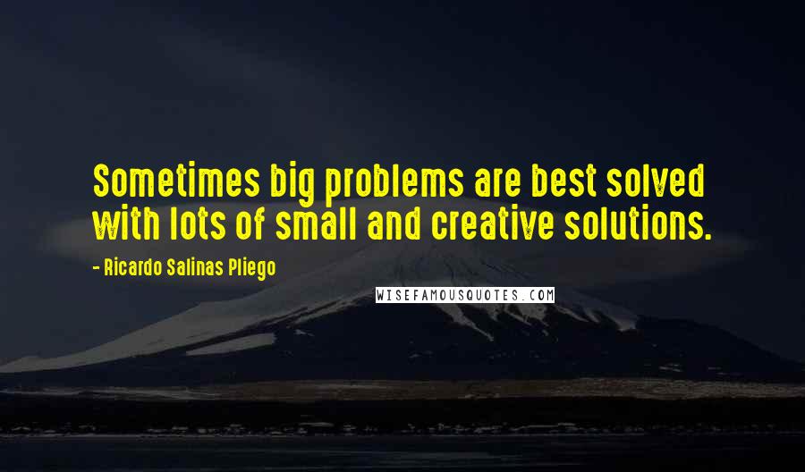 Ricardo Salinas Pliego Quotes: Sometimes big problems are best solved with lots of small and creative solutions.