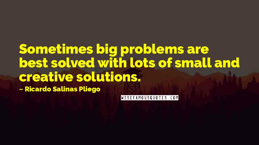 Ricardo Salinas Pliego Quotes: Sometimes big problems are best solved with lots of small and creative solutions.