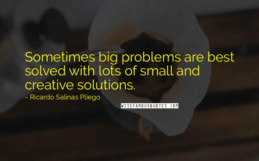 Ricardo Salinas Pliego Quotes: Sometimes big problems are best solved with lots of small and creative solutions.